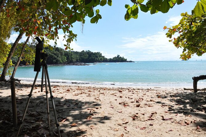 Manuel Antonio National Park Hiking Tour from Jacó - Walking the rainforest trails