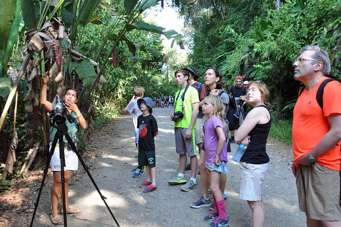Manuel Antonio National Park Hiking Tour from Jacó - What to bring, and what to leave behind