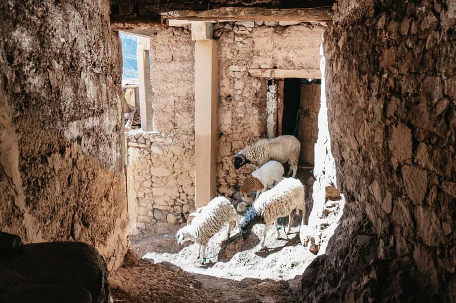 Marrakech: 2-Day Atlas Mountains Trek with Village Stay - What to Pack for Two Seasons in One Day