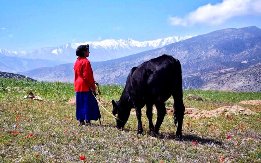 Marrakech: 2-Day Atlas Villages Trekking Tour - A peaceful night at the mountain guesthouse