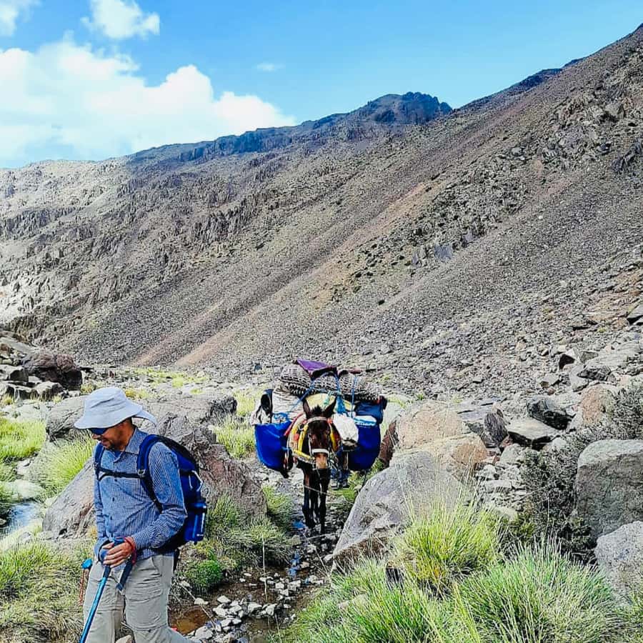 Marrakech: 3-Day Atlas Mountains Berber Villages Trek - Is $159 good value for three days?