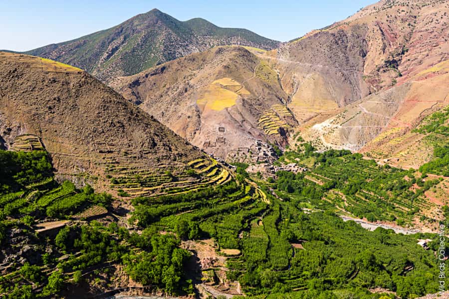 Marrakech: 3-Day High Atlas Mountains and Three Valleys Trek - Day three: waterfalls, Tizi Mzik, and the return to Marrakech