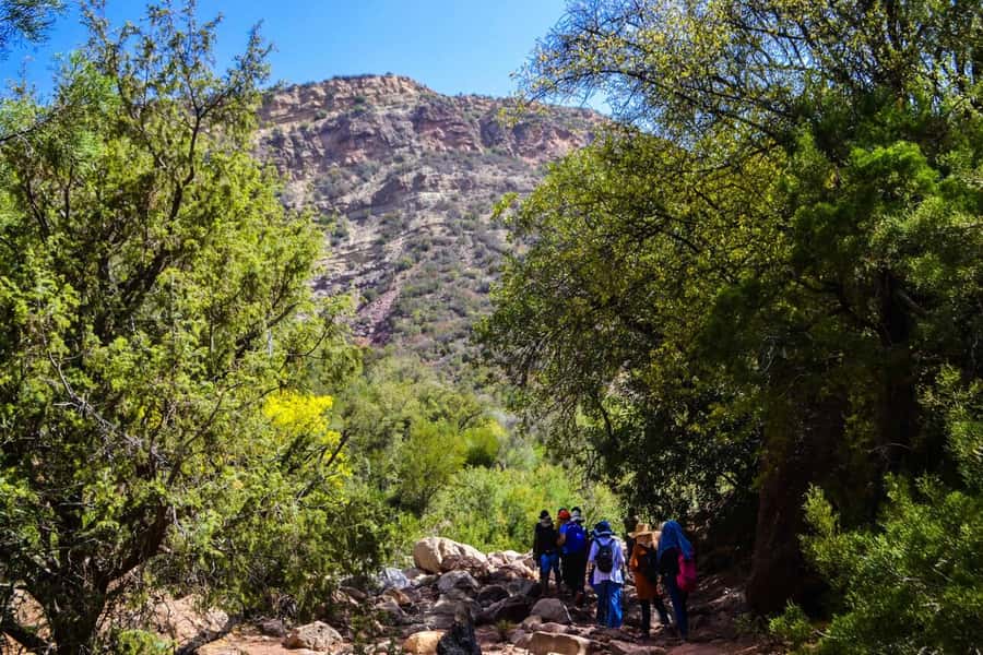 Marrakech: 3-Day High Atlas Mountains and Three Valleys Trek - Accommodation and meals in the mountains