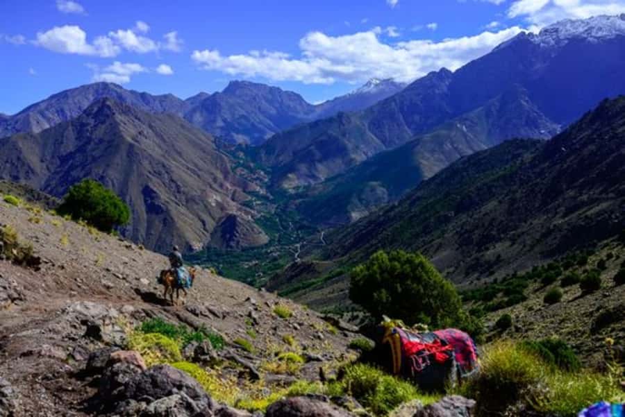 Marrakech: 3-Day High Atlas Mountains and Three Valleys Trek - Who will enjoy this High Atlas route?
