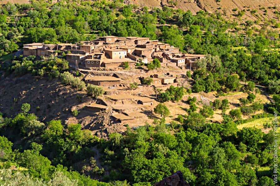 Marrakech: 3-Day High Atlas Mountains and Three Valleys Trek - Day one: Imlil to Tizi n’ Tamterte and Tachdirt
