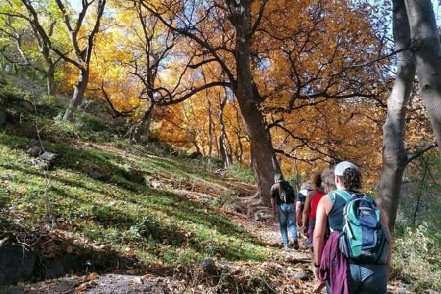 Marrakech: Atlas Mountains 3 Valleys Hike W Lunch&Waterfalls - Key points at a glance