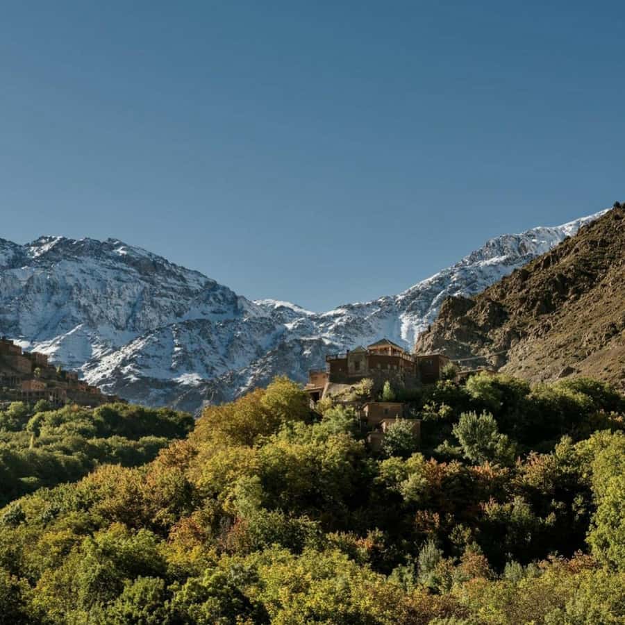 Marrakech: Atlas Mountains & Valleys Waterfall Hike w/ Lunch - What makes the guide important