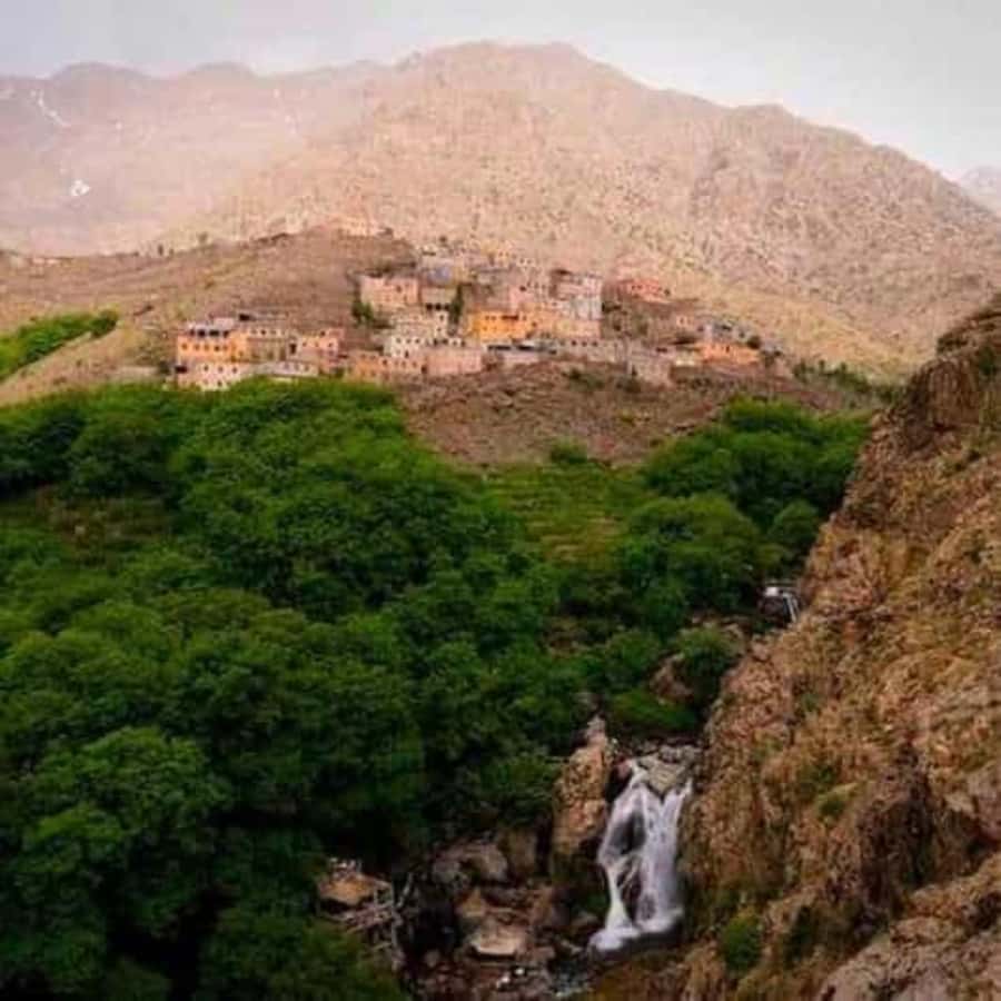 Marrakech: Atlas Mountains & Valleys Waterfall Hike w/ Lunch - Lunch in a family home or mountain guesthouse