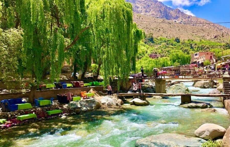 Marrakech: Ourika Valley Day Trip & Waterfalls Hike - What to expect at the argan oil cooperative