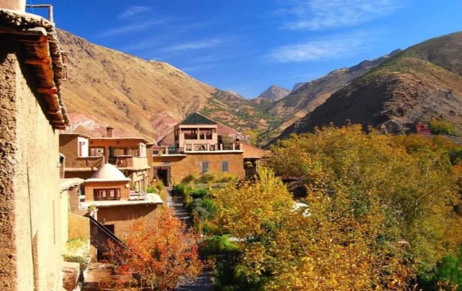 Marrakech: Ourika Valley Day Trip & Waterfalls Hike & Lunch - The argan oil cooperative stop