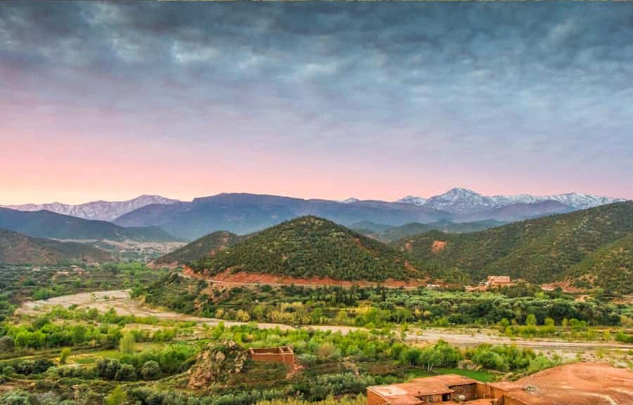Marrakech: Ourika Valley Day Trip & Waterfalls Hike - A first look at the valley and its village life