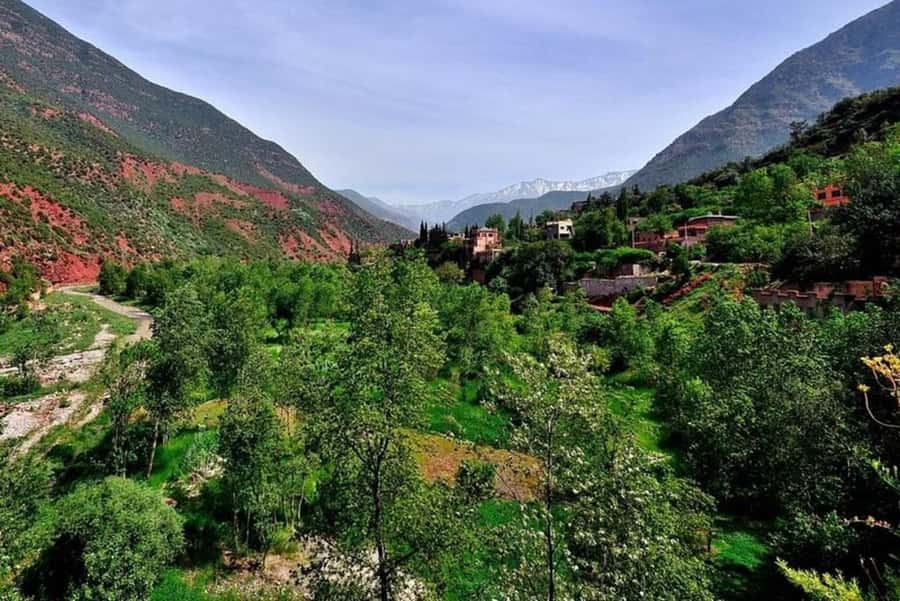 Marrakech: ourika valley lunch & guided hike to waterfalls - How the day is organized