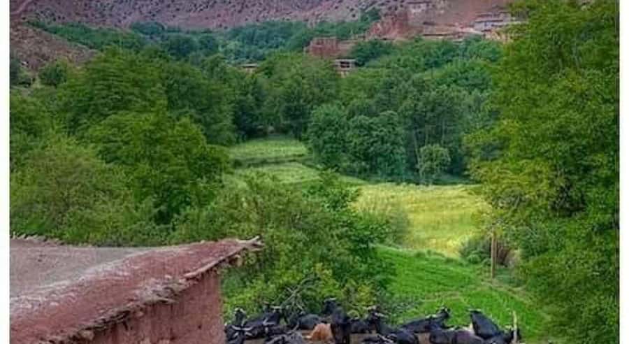 Marrakech: ourika valley lunch & guided hike to waterfalls - What the $12 price really gives you