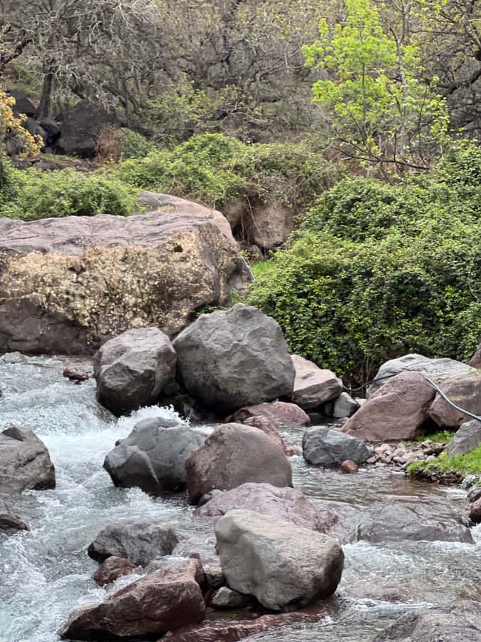 Marrakech: Ourika Valley Waterfalls Hike & Traditional Lunch - Guides, language, and the human side of the day