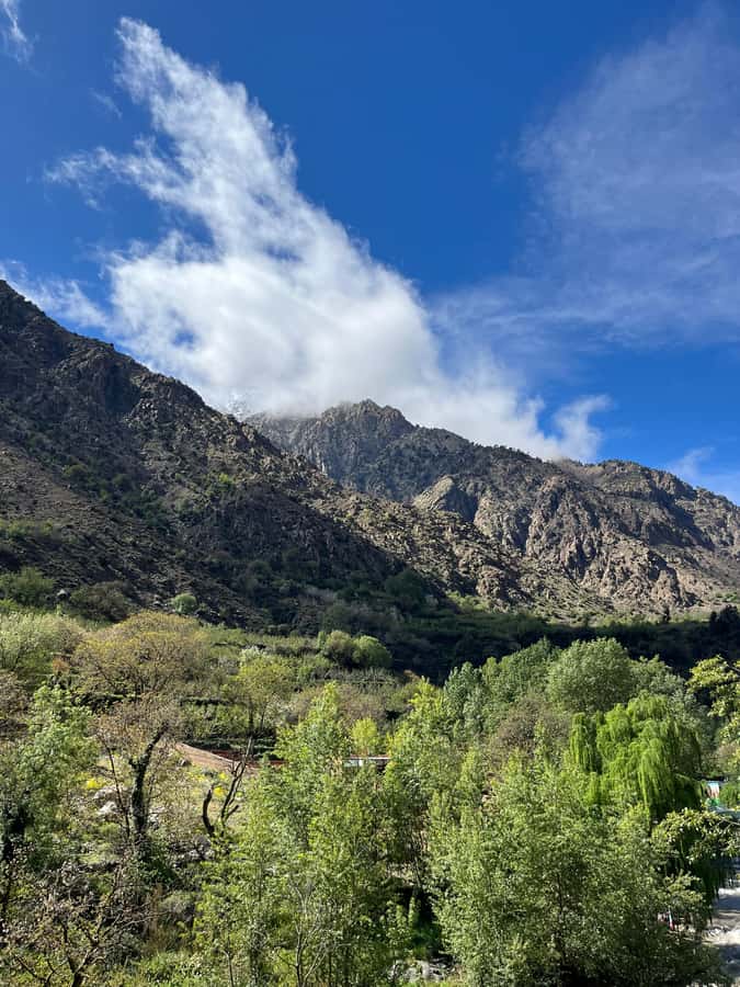 Marrakech: Ourika Valley Waterfalls Hike & Traditional Lunch - What to bring and how to prepare