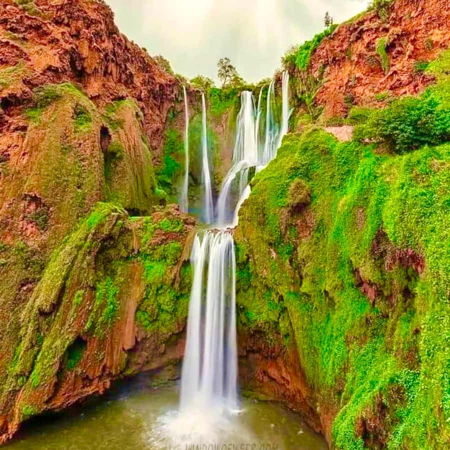 Marrakech: Ouzoud Waterfall, Guided Hike, Boat Ride & Lunch - Monkey spotting along the mountain path