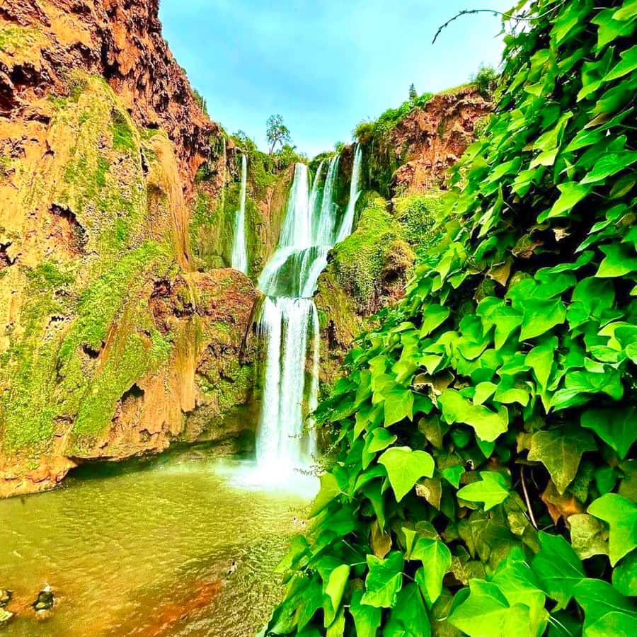 Marrakech: Ouzoud Waterfall, Guided Hike, Boat Ride & Lunch - Lunch with the falls in view