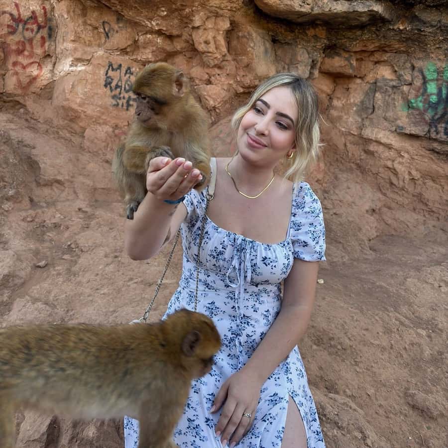 Marrakech: Ouzoud Waterfall, Guided Hike, Boat Ride & Lunch - What $16 really buys you