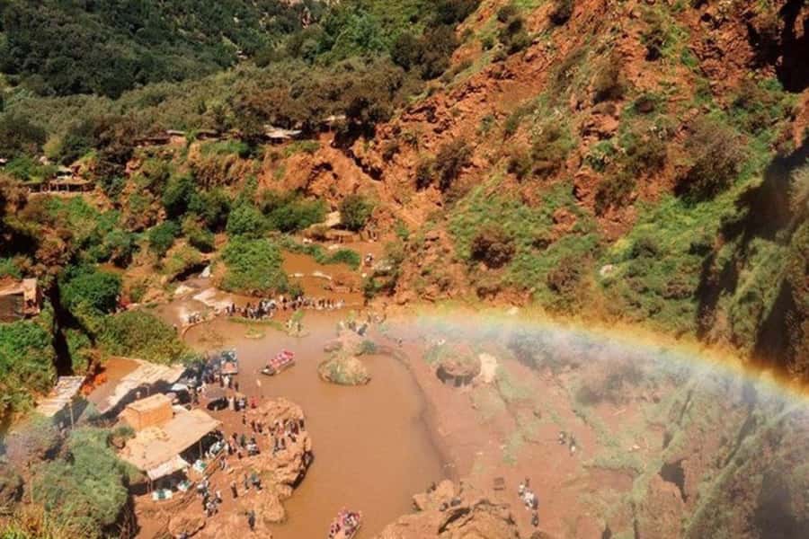 Marrakech: Ouzoud Waterfalls Trip, Guided Hike & Boat Option - Meeting the monkeys near the olive groves