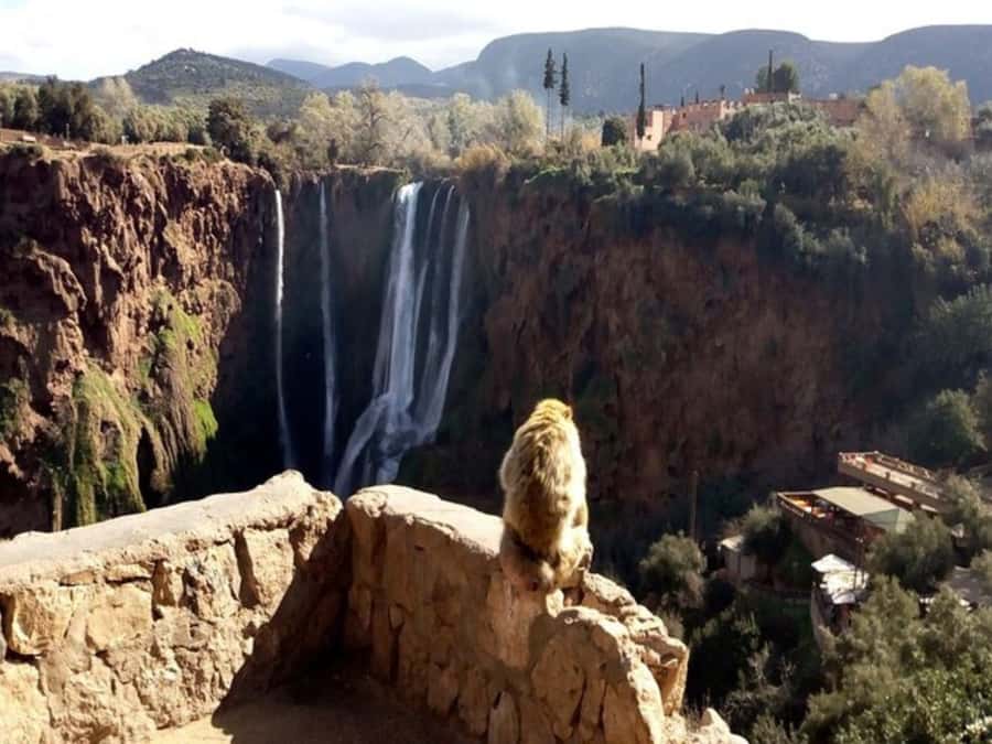 Marrakesh: Ouzoud Waterfalls Trip with Hike & Boat Option - How the guides shape the day