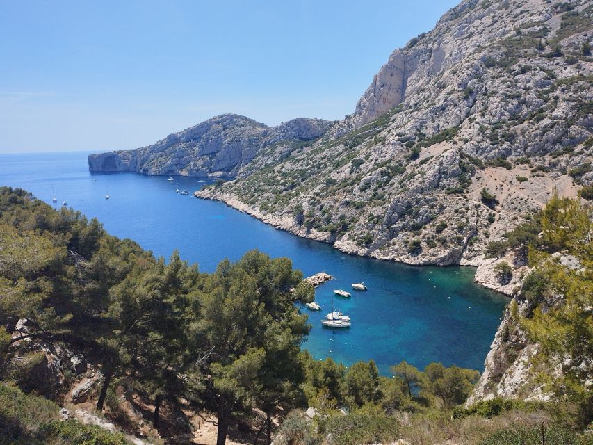 Marseille: Guided Hiking Calanques National Park from Luminy - A beautiful bay and time to swim