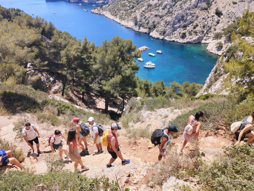 Marseille: Guided Hiking Calanques National Park from Luminy - Best time to book and what your $47 includes