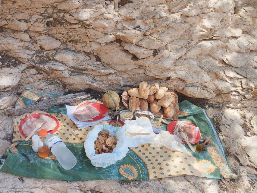 Marseille: Guided Hiking Calanques National Park from Luminy - Who should book this Calanques outing?
