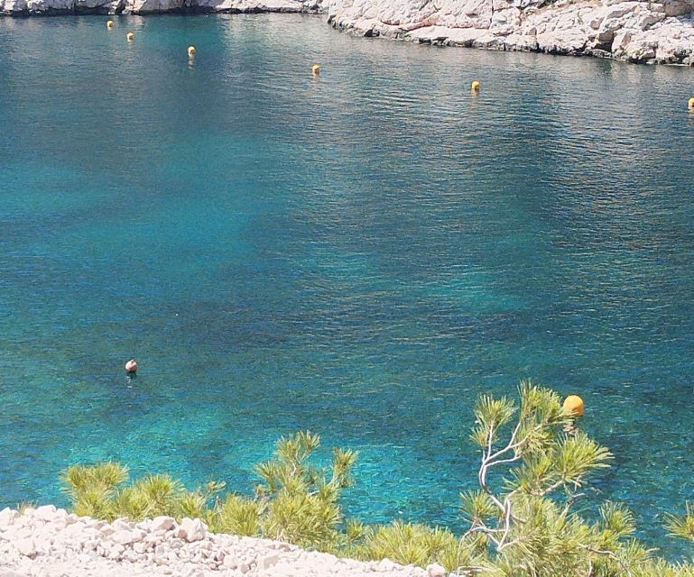 Marseille: Guided Hiking Calanques National Park from Luminy - Should you book it?
