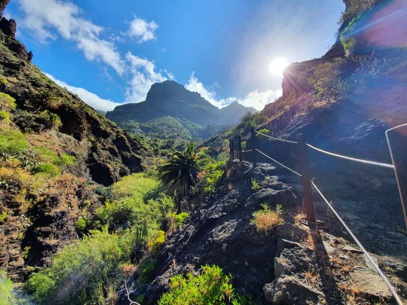 Masca Gorge Guided Hike - Starting in Santiago del Teide