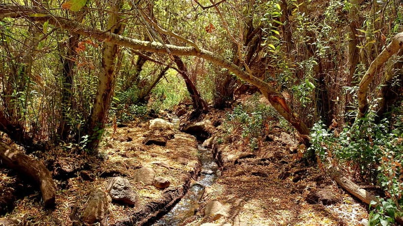Maspalomas: Hiking in the Waterfalls with Sky Rebels - Leaving Maspalomas for the mountain gorge