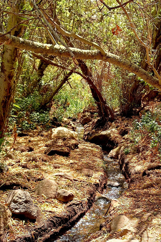 Maspalomas: Hiking in the Waterfalls with Sky Rebels - Timing, cancellation, and small practical details