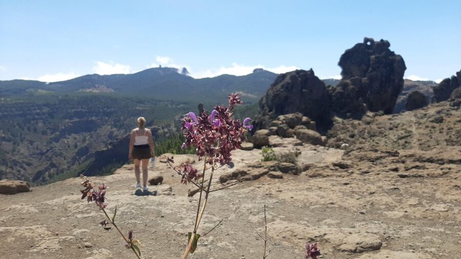 Maspalomas: Roque Nublo - hiking on volcanoes by Sky Rebels - Who should book this Roque Nublo outing