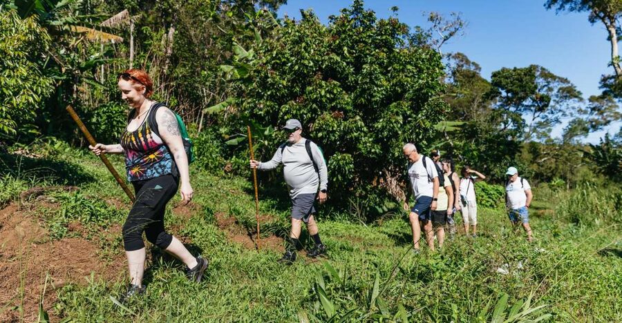 Maui: Rainforest Waterfalls Guided Hike with Picnic Lunch - Key points to know before booking