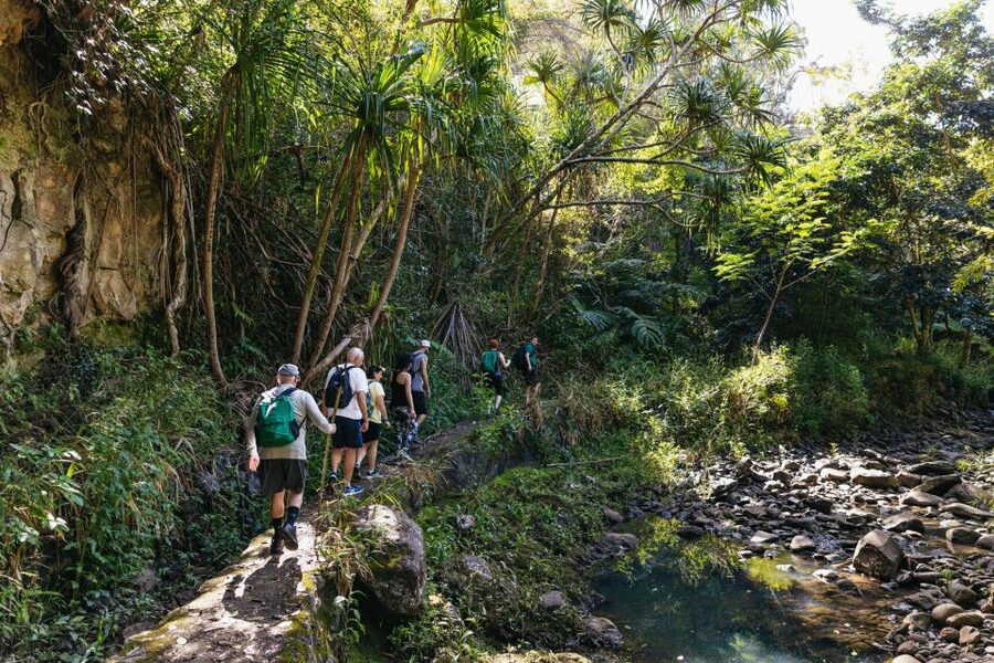 Maui: Rainforest Waterfalls Guided Hike with Picnic Lunch - Should you book the East Maui rainforest hike?