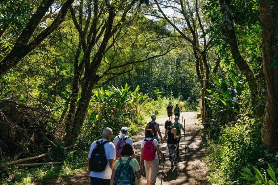 Maui: Rainforest Waterfalls Guided Hike with Picnic Lunch - Picnic lunch beside the falling water