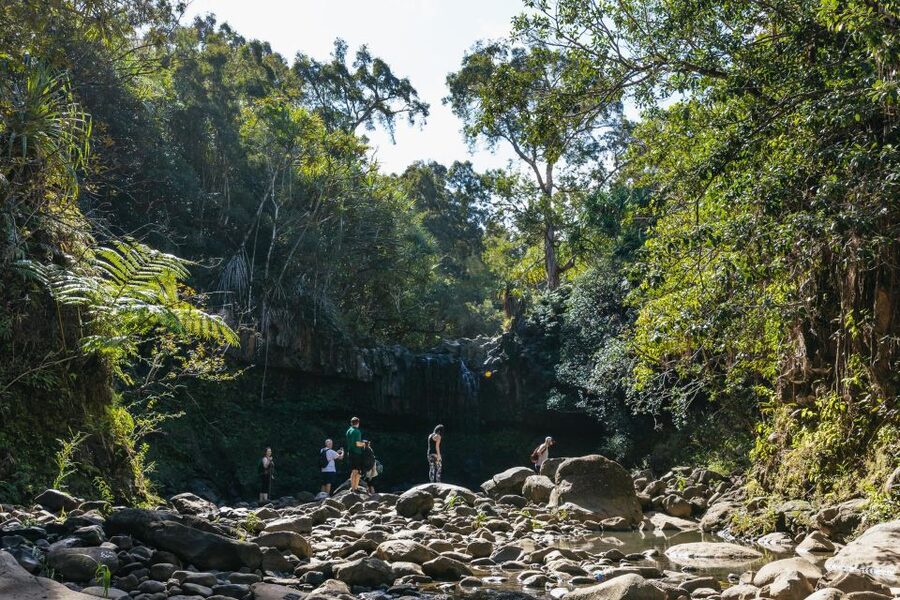 Maui: Rainforest Waterfalls Guided Hike with Picnic Lunch - The plants, fruit, and cultural meaning
