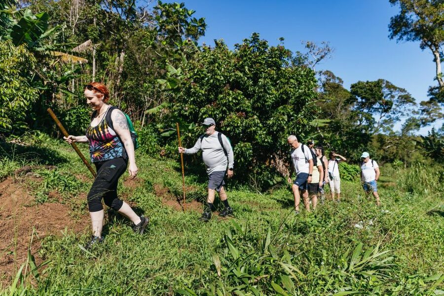 Maui: Rainforest Waterfalls Guided Hike with Picnic Lunch - Who should book this waterfall hike?