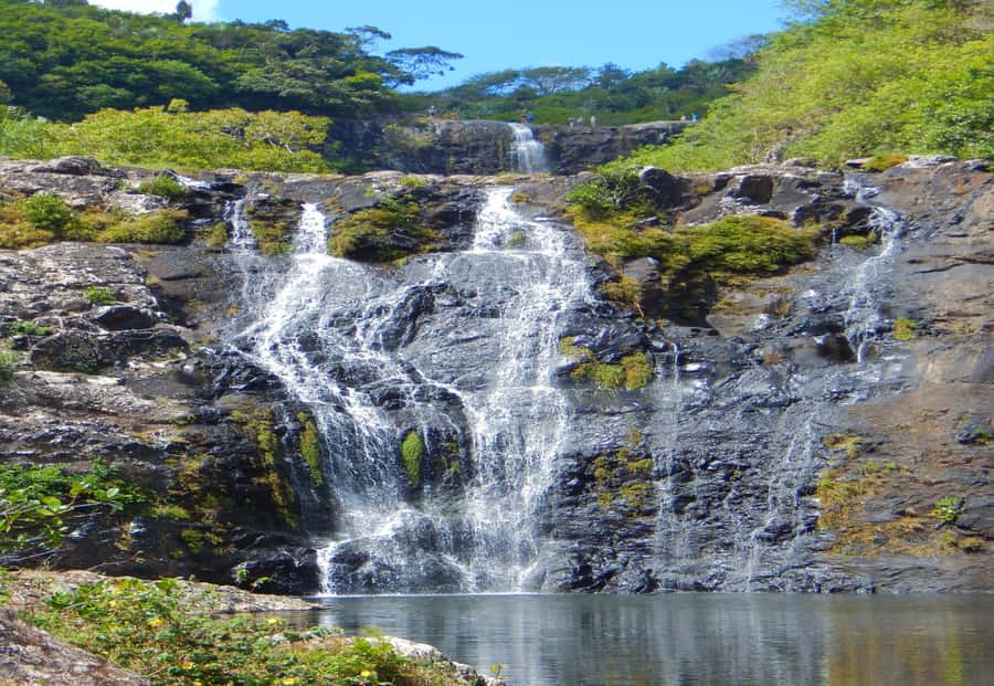Mauritius: 7 Waterfalls Hike with Lunch and Hotel Transfers - Transport, timing, and the $110 price