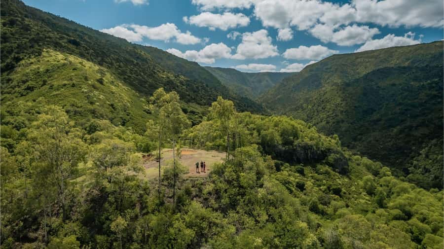 Mauritius: Black River Gorges National Park 3-Hour Hike - Wildlife, plants, and the value of a local guide