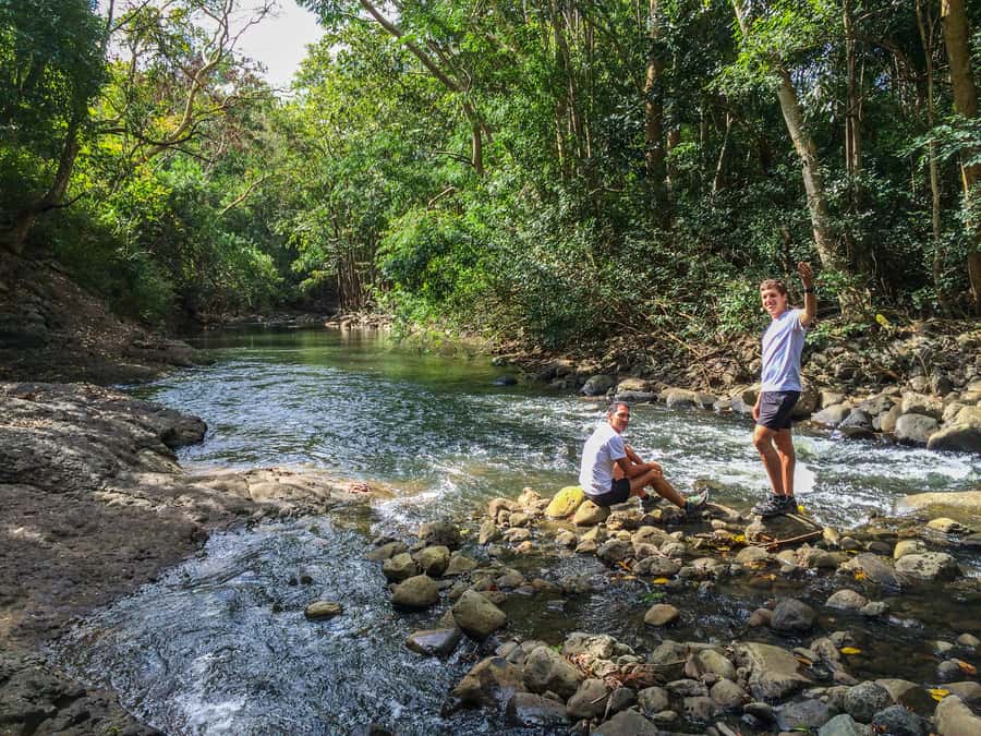Mauritius: Black River Gorges National Park 3-Hour Hike - What $64 buys you