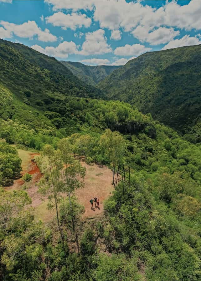 Mauritius: Black River Gorges National Park 3-Hour Hike - Who should book this hike