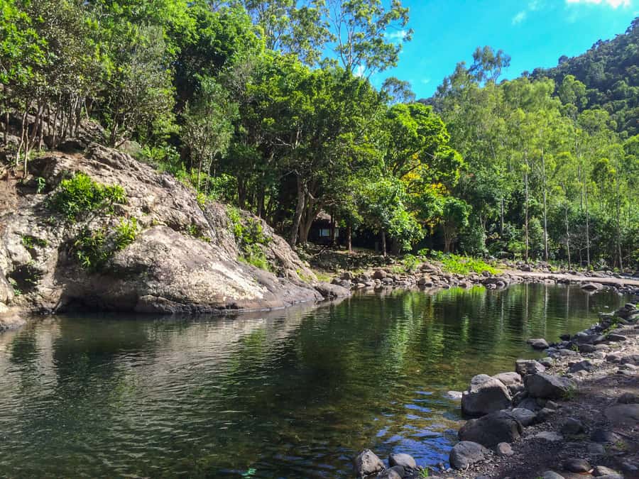 Mauritius: Black River Gorges National Park 3-Hour Hike - Should you book the Black River Gorges hike?