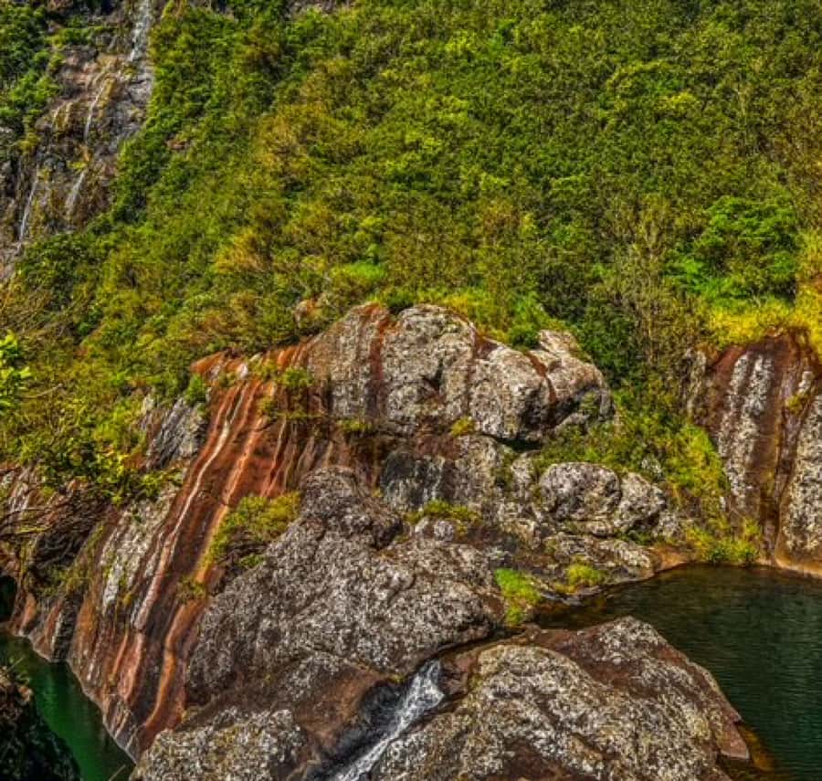 Mauritius: Full Canyon Tamarind Falls 5-Hour Hike - Key points before you book