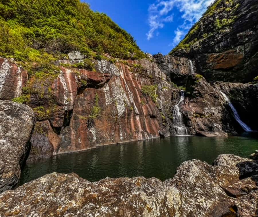 Mauritius: Full Canyon Tamarind Falls 5-Hour Hike - Views, plants, animals, and local stories