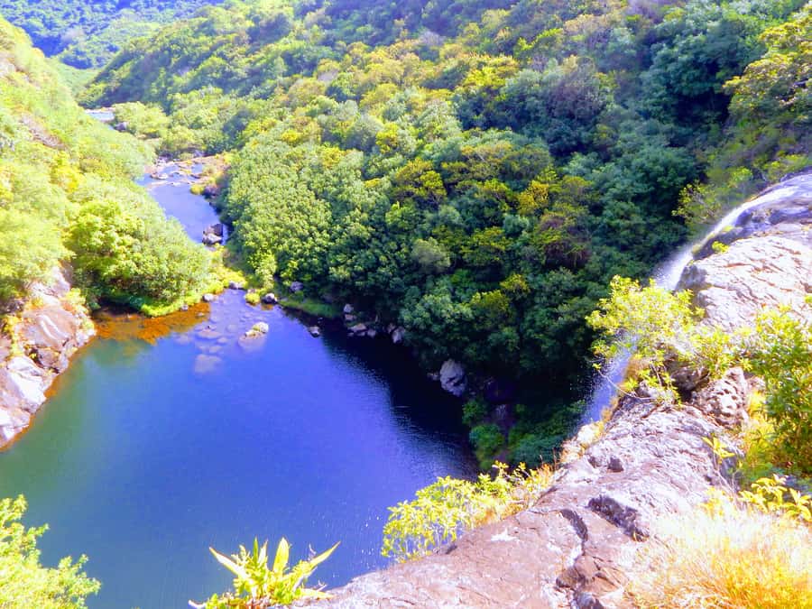 Mauritius: Guided Tamarind Falls Hike with Hotel Transfers - Key points before you book