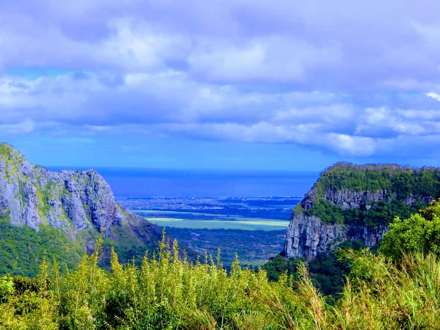 Mauritius: Guided Tamarind Falls Hike with Hotel Transfers - Entering the forest and following the river