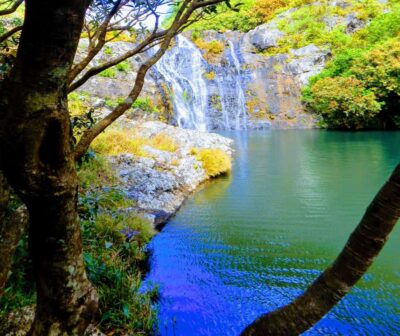 Mauritius: Guided Tamarind Falls Hike with Hotel Transfers