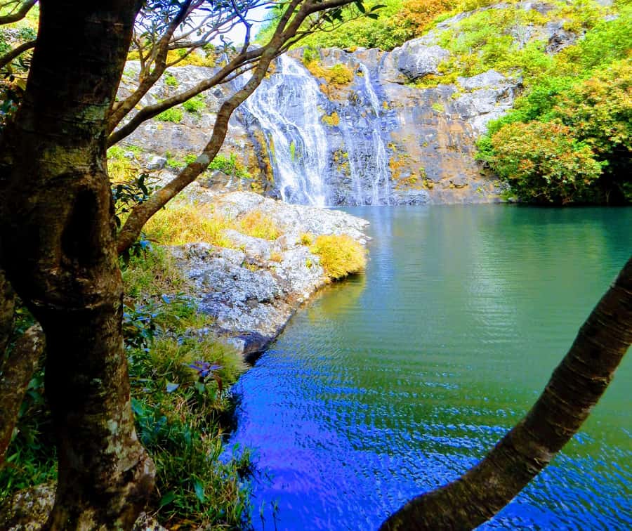 Mauritius: Guided Tamarind Falls Hike with Hotel Transfers - The early hotel pickup and drive