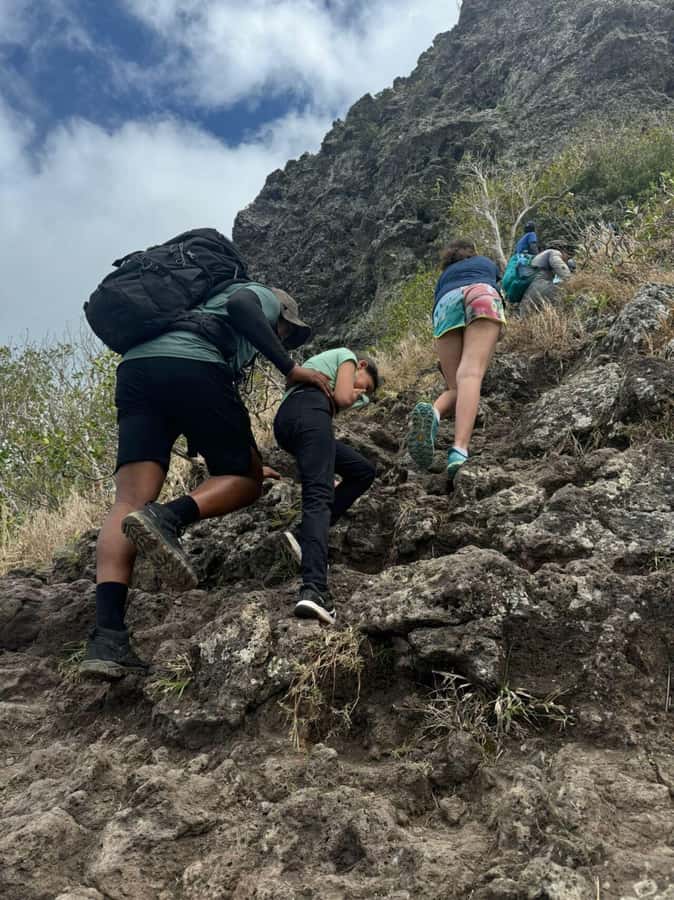 Mauritius: Le Morne Brabant Hike with Historical Immersion - Plants, birds, and the Boucle d’Oreille