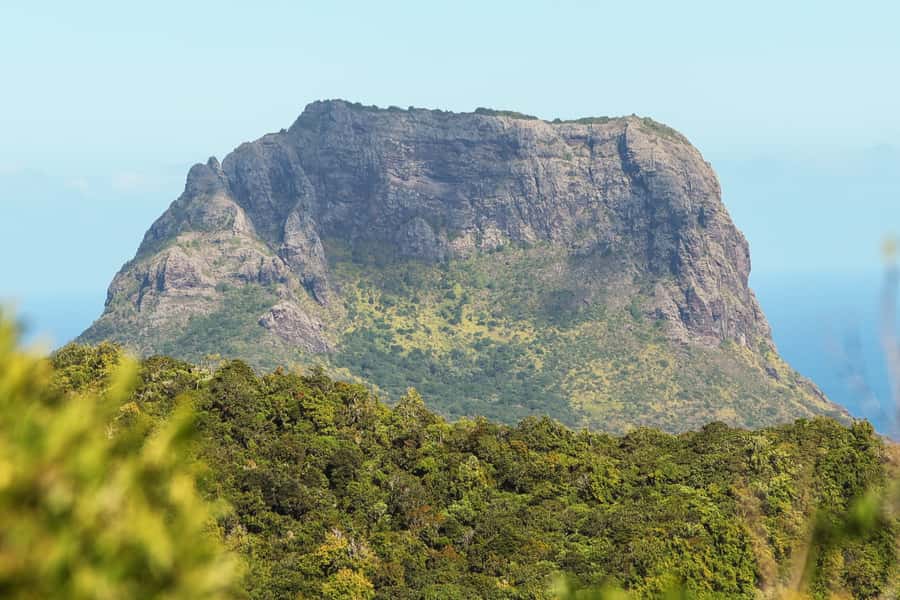 Mauritius: Le Morne Mountain Guided Sunrise Hike and Climb - The rainforest section and the first climb
